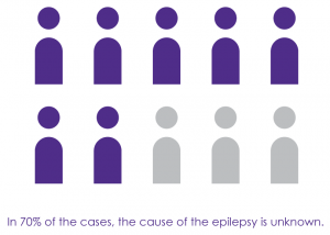Infographic showing that in 70% of the causes, the cause of the epilepsy is unknown.